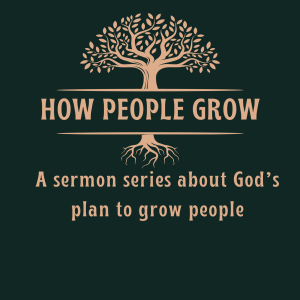 How People Grow: God Grows People Through People