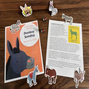 Donkey Sunday