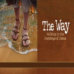 The Way Part 2: THe Healing Ministry