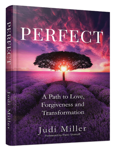 Judi Miller Author of 