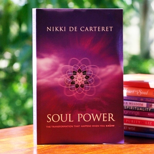 Soul Power By Nikki De Carteret and Nutritionist Jerry Armmor Image