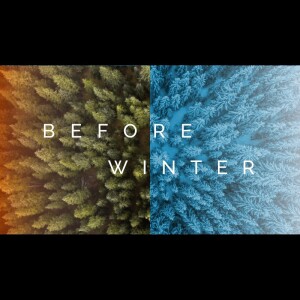 Before Winter: How?