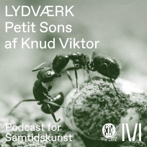 LYDVÆRK: 'Petit Sons' af Knud Viktor