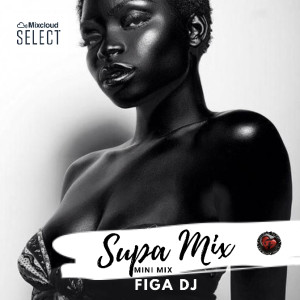 Supa Mix Mini Select Mix 