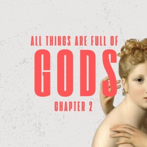 Explaining David Bentley Hart's "All Things are Full of Gods" (Part 2)