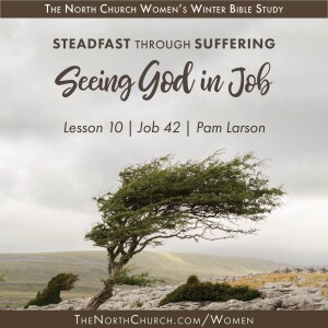 Job Lesson 10 | Job's Confession & Restoration | Job 42 | Pam Larson 4.17.24