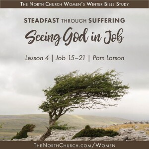 Job Lesson 4 | Round 2: Hope and Trust in Our Redeemer| Job 15-21 | Pam Larson 2.28.24