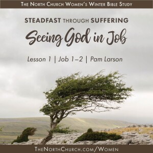 Job Lesson 1 | Setting the Stage: Shattered by Suffering | Job 1–2 | Pam Larson 2.7.24