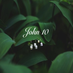 John 10 Amy Katterson