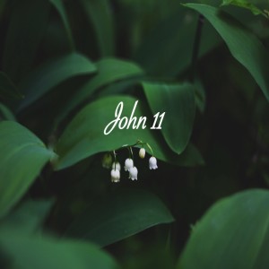 John 11 Pam Larson