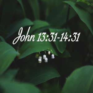 John 13:31-14:31 Jacque Boldt
