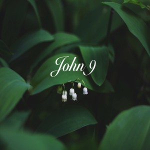John 9 Pam Larson