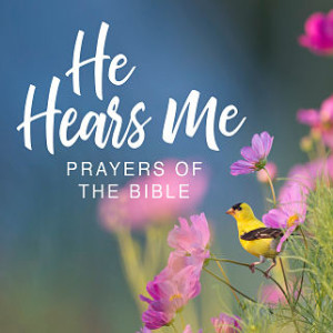 He Hears Me: Paul’s Prayer (Ephesians 3:14-21) Jenni Naselli