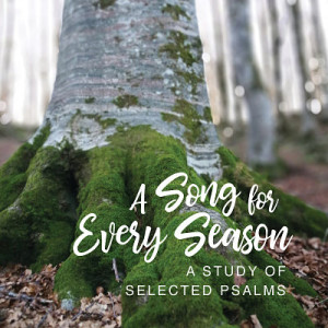 Psalm 40, A Song for the Waiting. Pam Larson, February 24, 2021