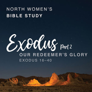 Exodus 32-33:6 (Charisse Compton, March 23, 2022)