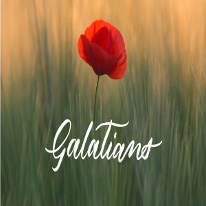 Galatians 3:1-9 By FAITH, through the Spirit, Pam Larson 