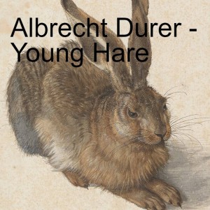 Albrecht Durer - Young Hare
