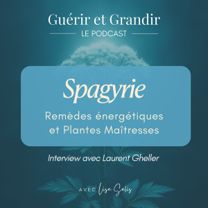 Spagyrie : Remèdes énergétiques et Plantes Maîtresses - Interview avec Laurent Gheller