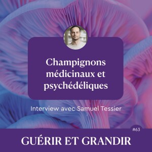 Champignons médicinaux et psychédéliques - Interview avec Samuel Tessier