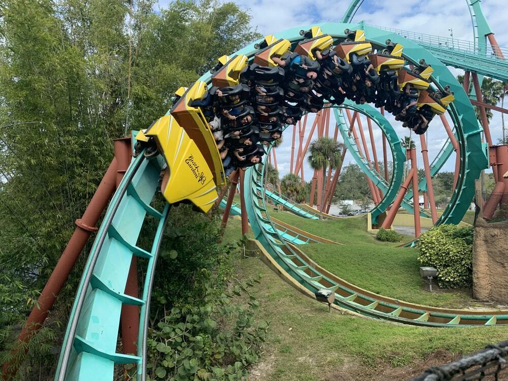 The Roller Coaster Mystery