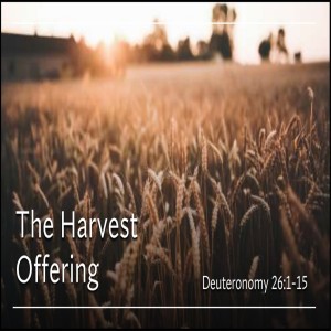 The Harvest Offering - Eddie White - Nov 6, 2022