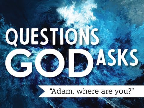 ‘Where are you?’ Pastor Nathan