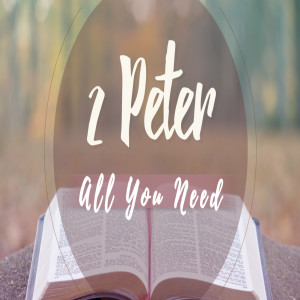 "All You Need"