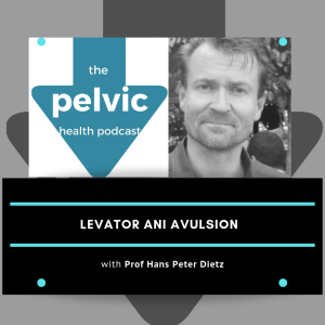 Levator ani avulsion with Prof Hans Peter Dietz Part 1
