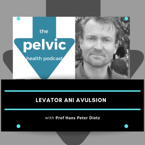 Part 2 Levator avulsion with Prof Peter Dietz