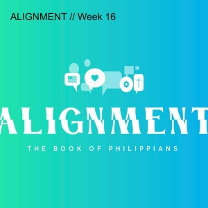 ALIGNMENT // Week 16