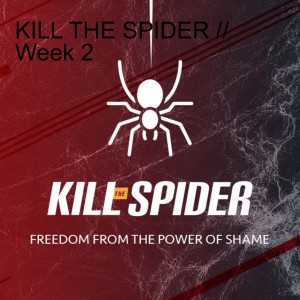 KILL THE SPIDER // Week 2