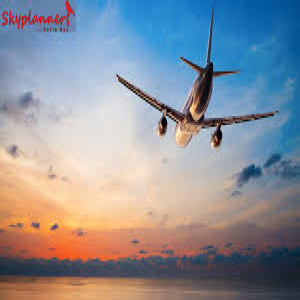 Domestic air ticket offers