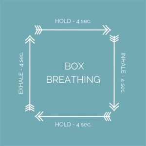Pillar V:  Breathwork: The Box Breath