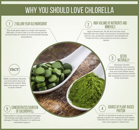 Chlorella for Detox