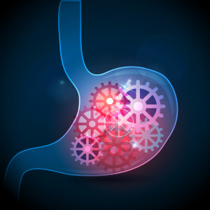 Best of 2018: Optimizing Digestion