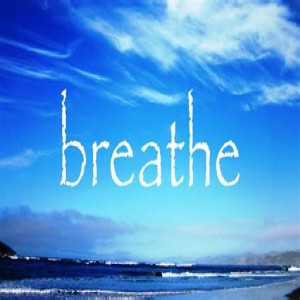 Pillar V:Breathwork - just breathe.