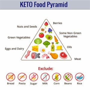The Ketogenic Diet