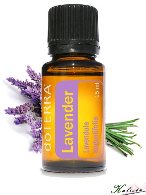 Essential Oils: Lavender