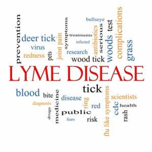 Reminder: Lyme Disease is out there