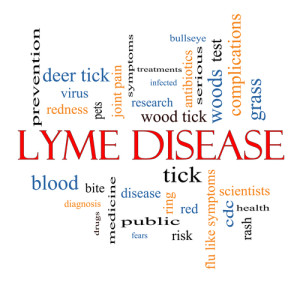 Lyme Disease Part 2: When you find a tick on you