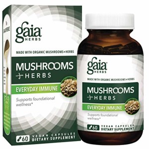 Functional Foods - Reishi Mushrooms