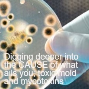 A deeper look at MOLD/MYCOTOXINS