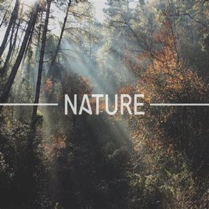 Commune with Nature and Clear Your Head!