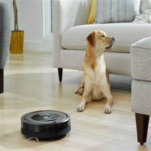 Pandemic Game Changer: Roomba