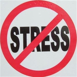 Stress Management: Your Action Plan