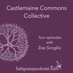 Zoe Scoglio and the Castlemaine Commons Collective: Episode 2