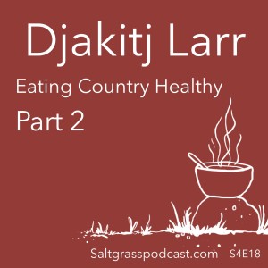 S4 E18 Djakitj Larr - part 2