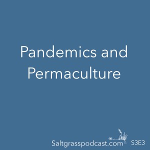 S3 E3 Pandemics and permaculture