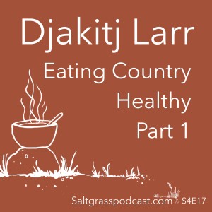 S4 E17 Djakitj Larr - Eating Country Healthy