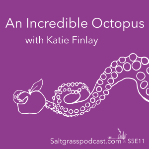 S5 E11 An Incredible Octopus with Katie Finlay